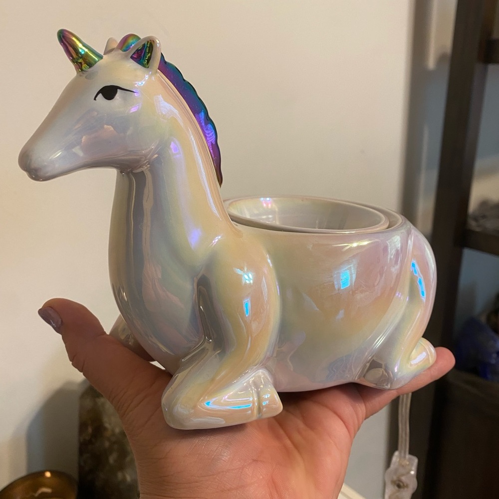 Magical Unicorn Simmer Pot Pink Zebra